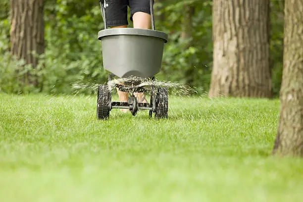 Lawn Fertilization in Pompano Beach, FL