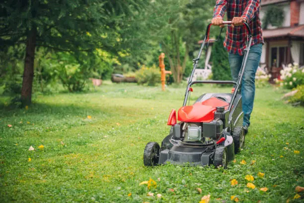 Lawn Mowing Pompano Beach, FL