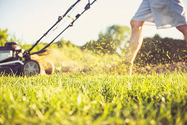 Lawn Mowing in Pompano Beach, FL