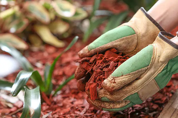 Mulching Pompano Beach, FL