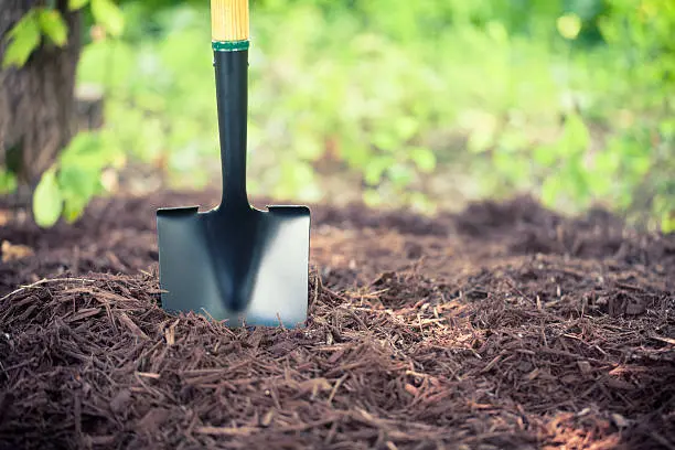 Mulching in Pompano Beach, FL