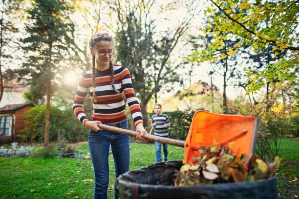 Reliable Yard Cleanup in Pompano Beach, FL