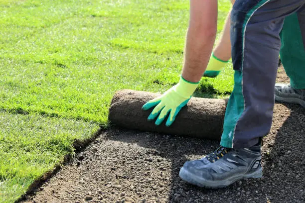 Sod Installation Pompano Beach, FL