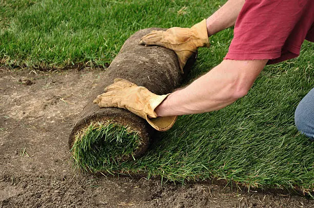 Sod Installation in Pompano Beach, FL