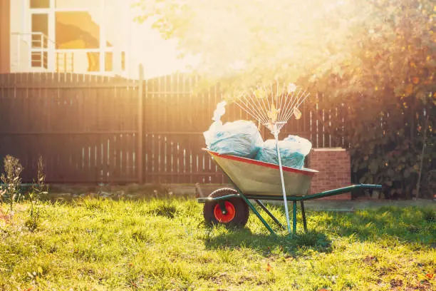 Yard Cleanup in Pompano Beach, FL